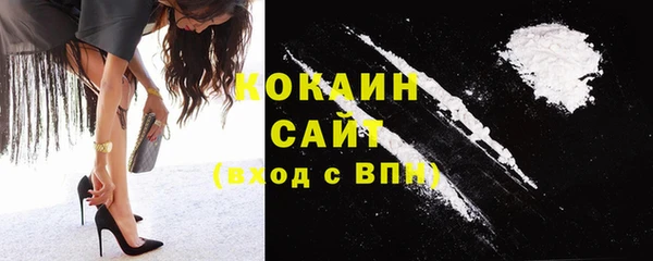 шишки Богородицк
