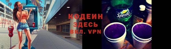 шишки Богородицк