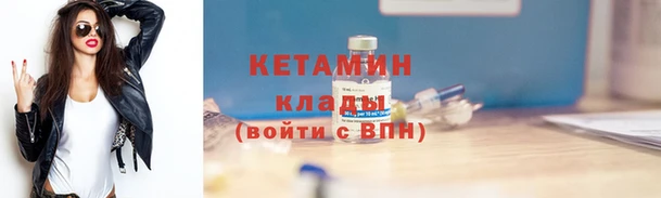 шишки Богородицк