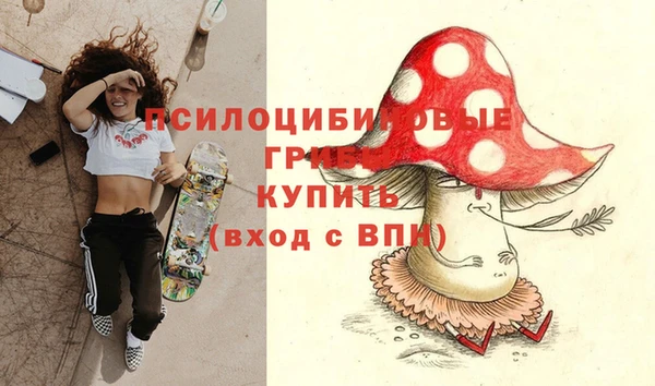 мдпв Богородск