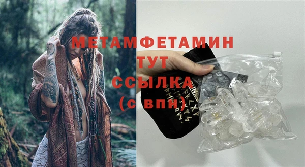 шишки Богородицк