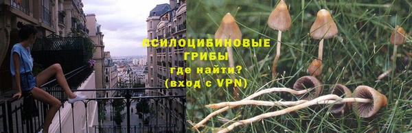 мдпв Богородск