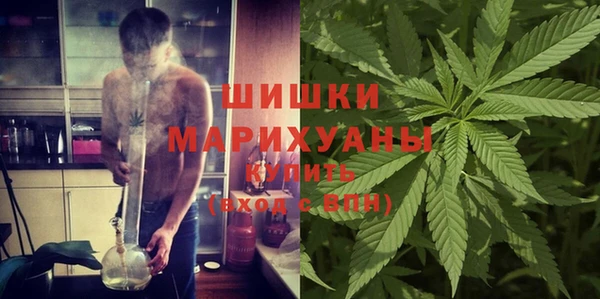 мдпв Богородск