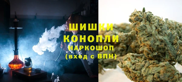 соль ск Богданович