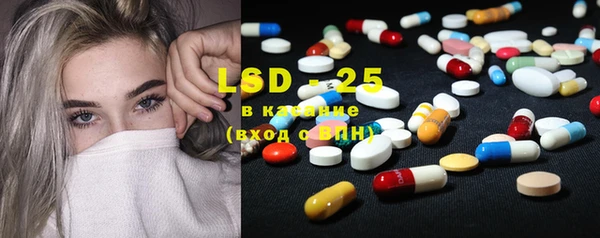 шишки Богородицк