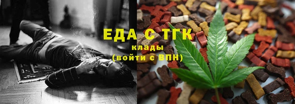 мдпв Богородск
