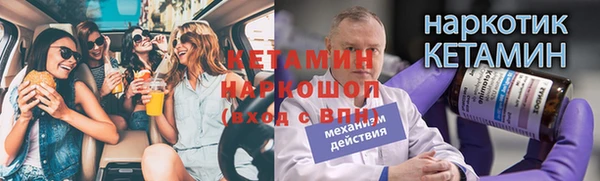 шишки Богородицк