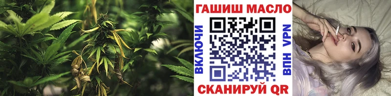 Купить где  Высоцк  Дистиллят ТГК Wax 