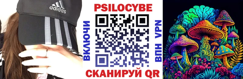 Купить закладки  Высоцк  Псилоцибиновые грибы Magic Shrooms 